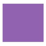 Eva Liso Luli ROXO