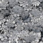 Lantejoula-de-Flor-Metalizada-85mm-Lantecor-101-P-Pacote-com-1000un