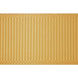 Fita de Gorgurao Aquarela FGPE 38mm Rolo com 10 Metros